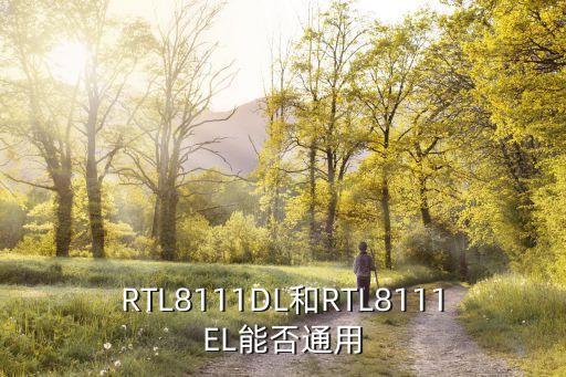 RTL8111DL和RTL8111EL能否通用