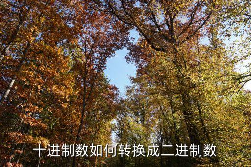 十進制數(shù)如何轉(zhuǎn)換成二進制數(shù)