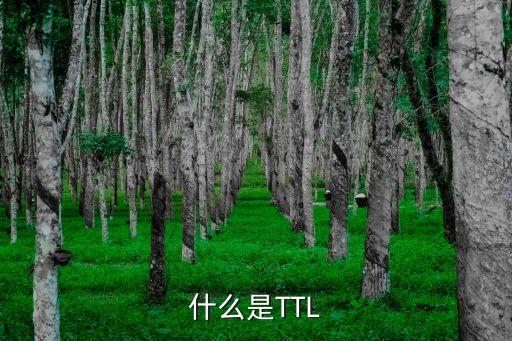 什么是TTL