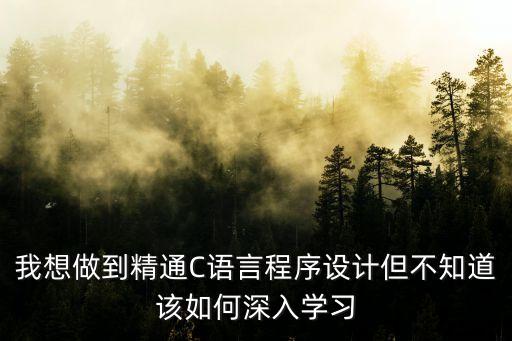 我想做到精通C語言程序設(shè)計但不知道該如何深入學(xué)習(xí)
