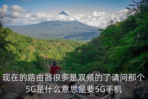 現(xiàn)在的路由器很多是雙頻的了請(qǐng)問那個(gè)5G是什么意思是要5G手機(jī)