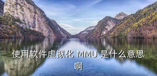 MMU，ARM處理器中的MMU單元的實際作用是什么