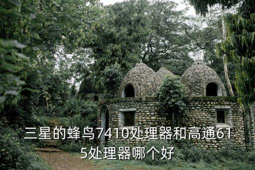 三星的蜂鳥7410處理器和高通615處理器哪個好