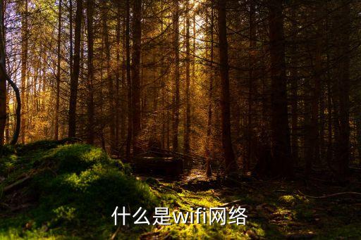 什么是wifi網(wǎng)絡(luò)