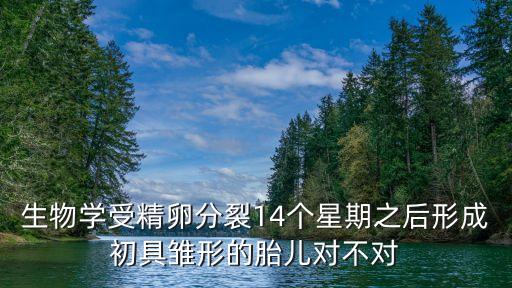 初具雛形，受精卵發(fā)育到初具嬰兒雛形需要多長時間