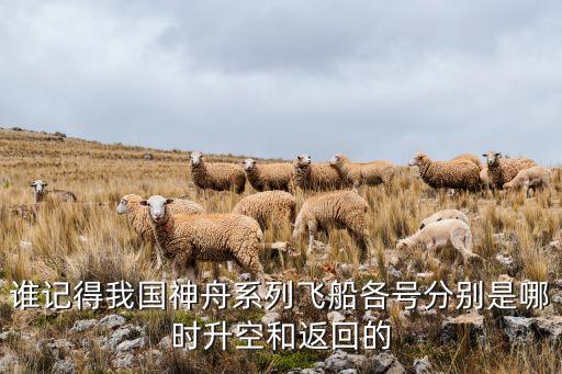 誰(shuí)記得我國(guó)神舟系列飛船各號(hào)分別是哪時(shí)升空和返回的