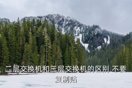 三層交換機和二層交換機區(qū)別，三層交換機和二層交換機有什么區(qū)別 三層交換機和路由