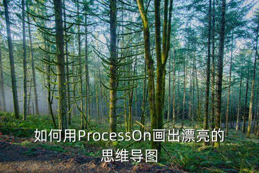 如何用ProcessOn畫出漂亮的思維導圖