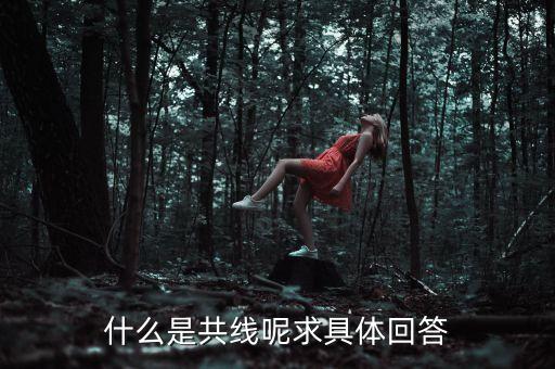 共線，什么是共線呢求具體回答