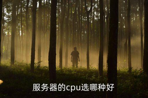 服務(wù)器的cpu選哪種好