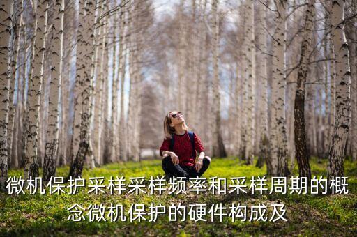 微機保護，電力系統(tǒng)微機保護是什么