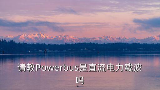 請教Powerbus是直流電力載波嗎