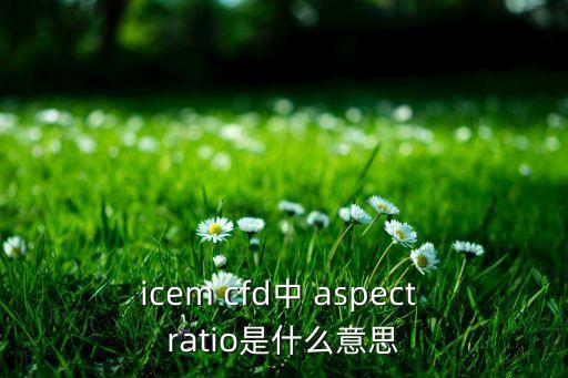 icem cfd中 aspect ratio是什么意思