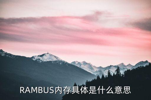 RAMBUS內(nèi)存具體是什么意思