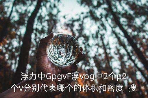 浮力中GpgvF浮vpg中2個p2個v分別代表哪個的體積和密度  搜