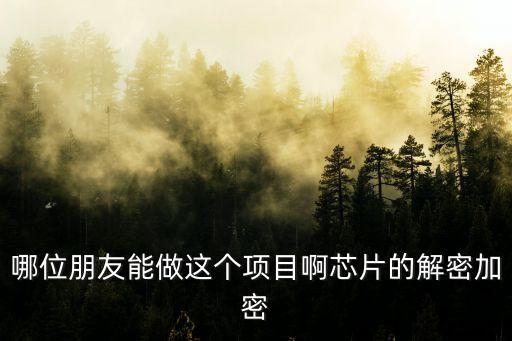 哪位朋友能做這個(gè)項(xiàng)目啊芯片的解密加密