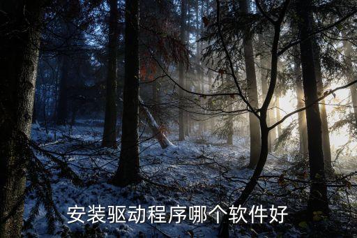 安裝驅(qū)動程序哪個軟件好