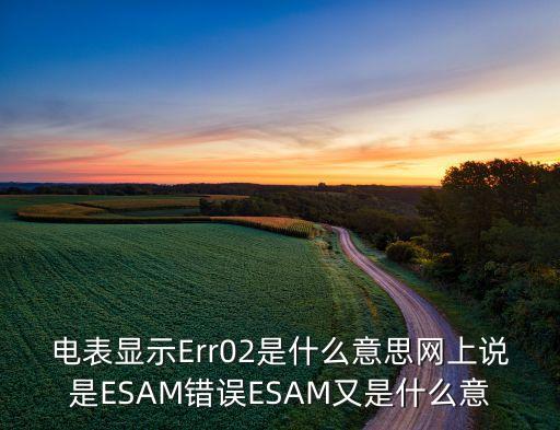 電表顯示Err02是什么意思網(wǎng)上說是ESAM錯(cuò)誤ESAM又是什么意