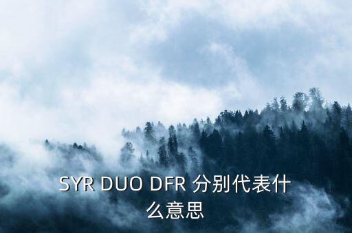 SYR DUO DFR 分別代表什么意思