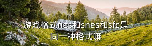 snes，snes模擬器怎么用