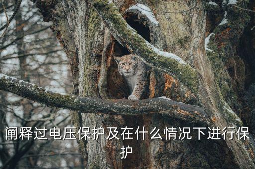 闡釋過電壓保護及在什么情況下進行保護