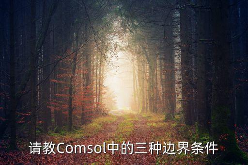 第三類邊界條件，在什么條件下第三類邊界條件可以轉(zhuǎn)變?yōu)榈诙愡吔? /></a><a href=