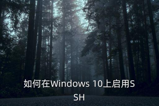如何在Windows 10上啟用SSH
