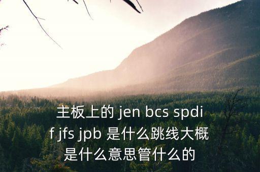 jfs，主板上的 jen bcs spdif jfs jpb 是什么跳線大概是什么意思管什么的