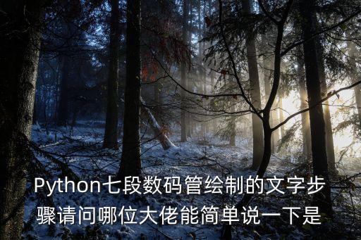 Python七段數(shù)碼管繪制的文字步驟請問哪位大佬能簡單說一下是