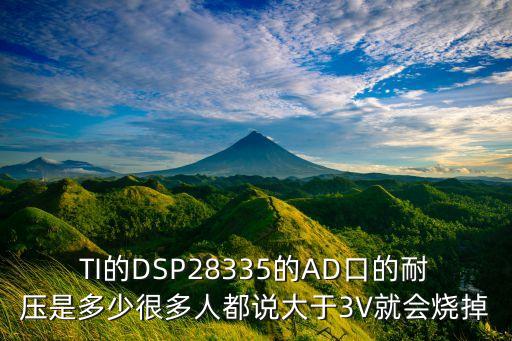 TI的DSP28335的AD口的耐壓是多少很多人都說(shuō)大于3V就會(huì)燒掉