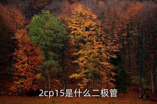 cp15，電飯煲srcp15什么意思