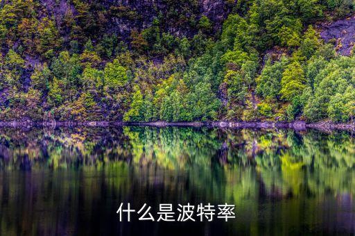 什么是波特率
