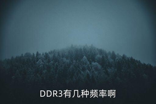 DDR3有幾種頻率啊