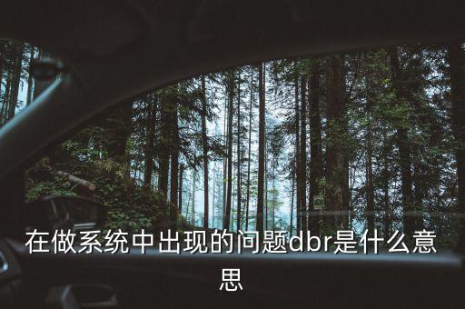 在做系統(tǒng)中出現(xiàn)的問(wèn)題dbr是什么意思