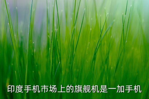 印度手機市場上的旗艦機是一加手機
