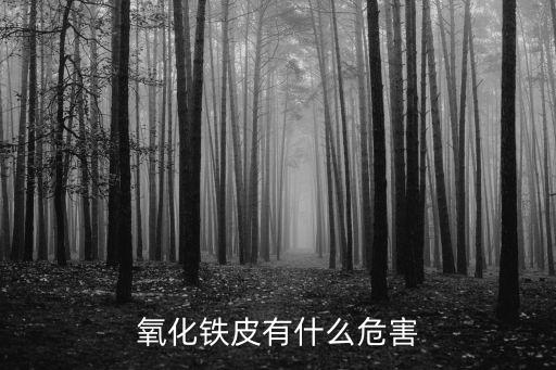 氧化鐵皮，氧化鐵皮有什么危害