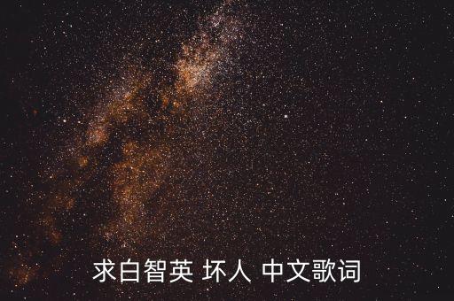 求白智英 壞人 中文歌詞