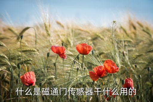 什么是磁通門傳感器干什么用的
