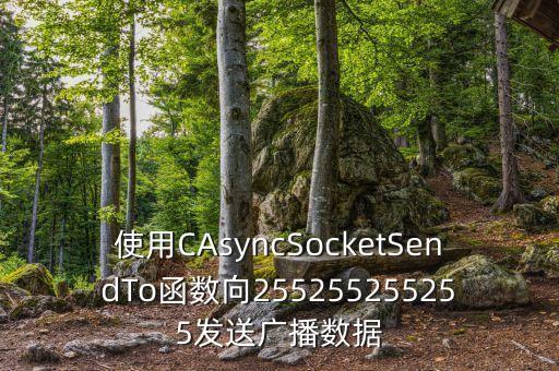 使用CAsyncSocketSendTo函數(shù)向255255255255發(fā)送廣播數(shù)據(jù)