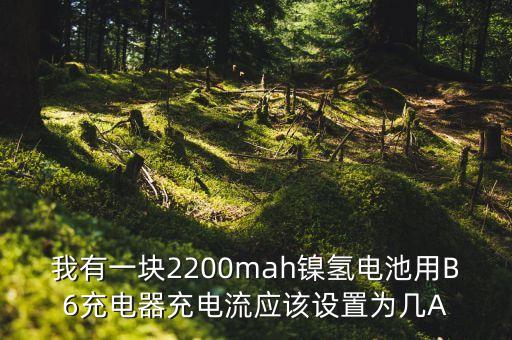 充電倍率，我有一塊2200mah鎳氫電池用B6充電器充電流應(yīng)該設(shè)置為幾A
