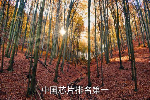 中國芯片排名第一