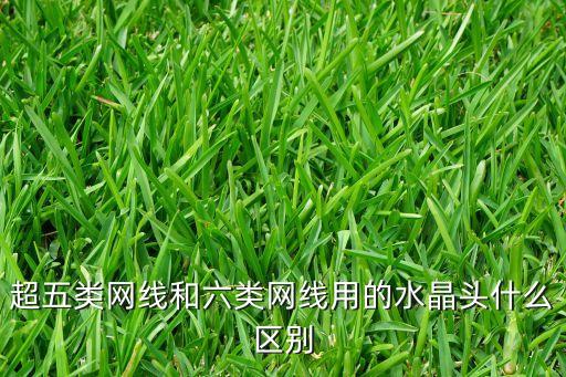 超五類網(wǎng)線和六類網(wǎng)線用的水晶頭什么區(qū)別