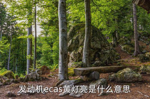 ECAS，發(fā)動機ecas黃燈亮是什么意思