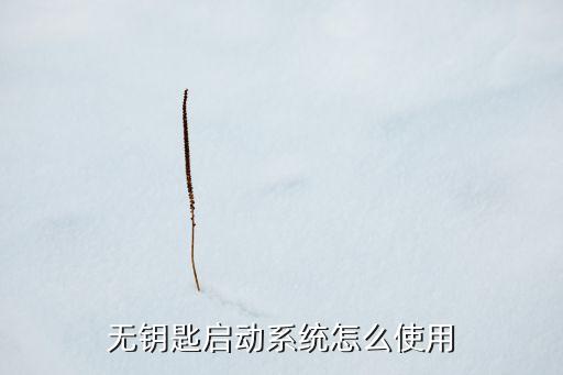 無鑰匙啟動系統(tǒng)怎么使用