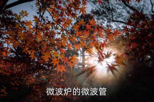 微波管，微波爐的微波管