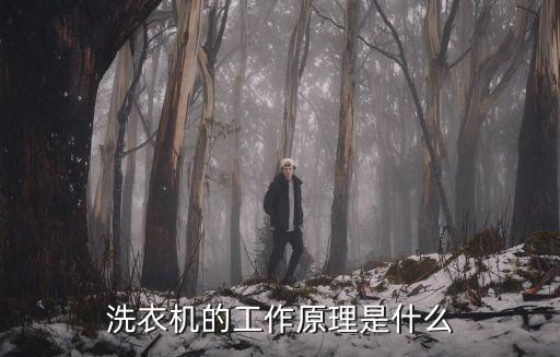 洗衣機(jī)原理，洗衣機(jī)的工作原理是什么