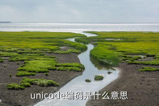 unicode編碼是什么意思