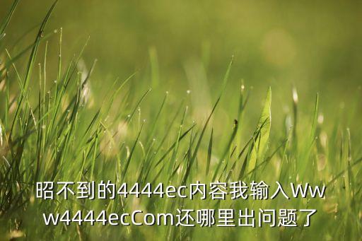 wwww4444，就是不能wwW4444kp登入到播放頁了難倒以后就4444kpCoM都不行