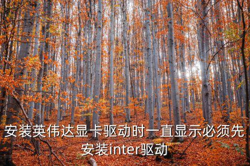 安裝英偉達(dá)顯卡驅(qū)動時一直顯示必須先安裝inter驅(qū)動