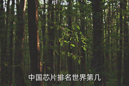 中國芯片排名世界第幾